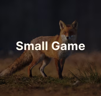 Small Game