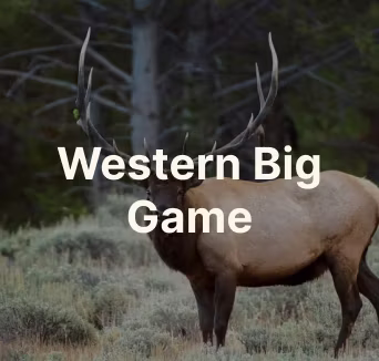 Western Big Game