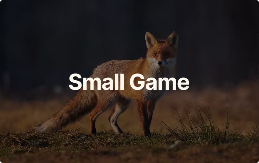 Small Game