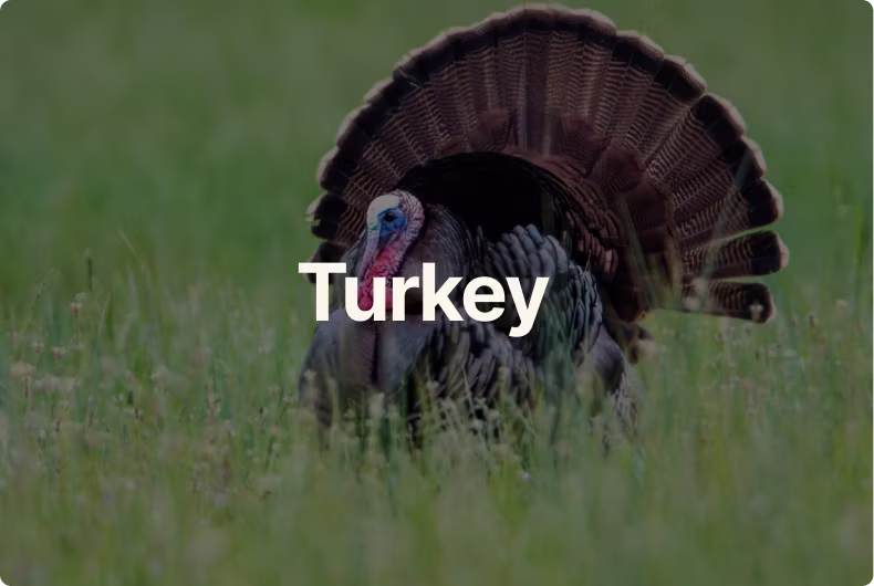 Turkey