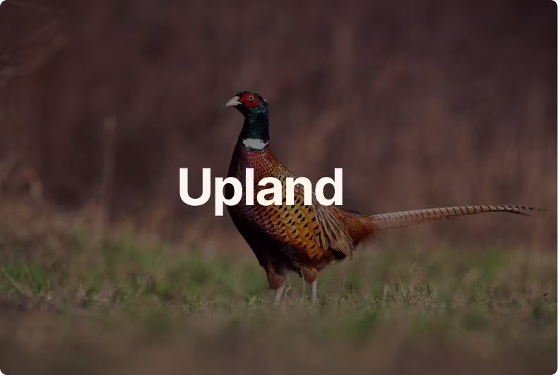 Upland
