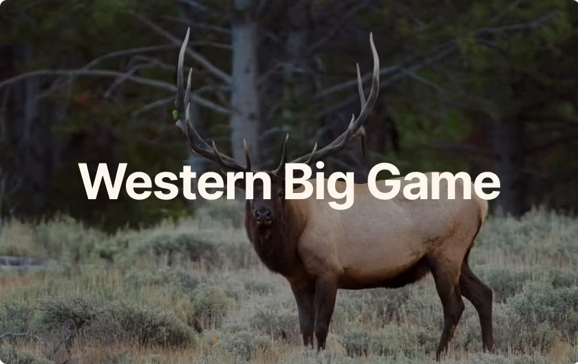 Western Big Game