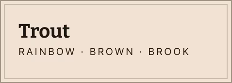 Trout Rainbow, Brown, Brook
