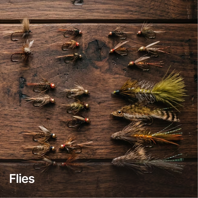 Flies
