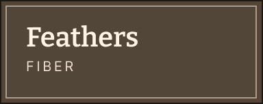 Feathers Fiber