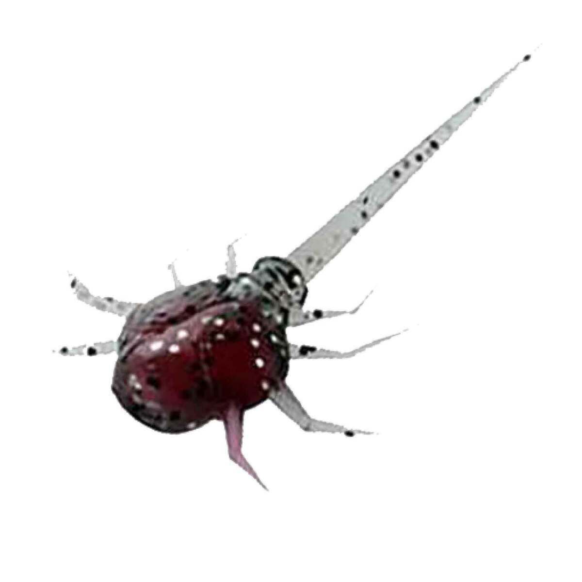 13 Fishing Coconut Crab Creature Bait 13 Fishing Coconut Crab Creature Bait