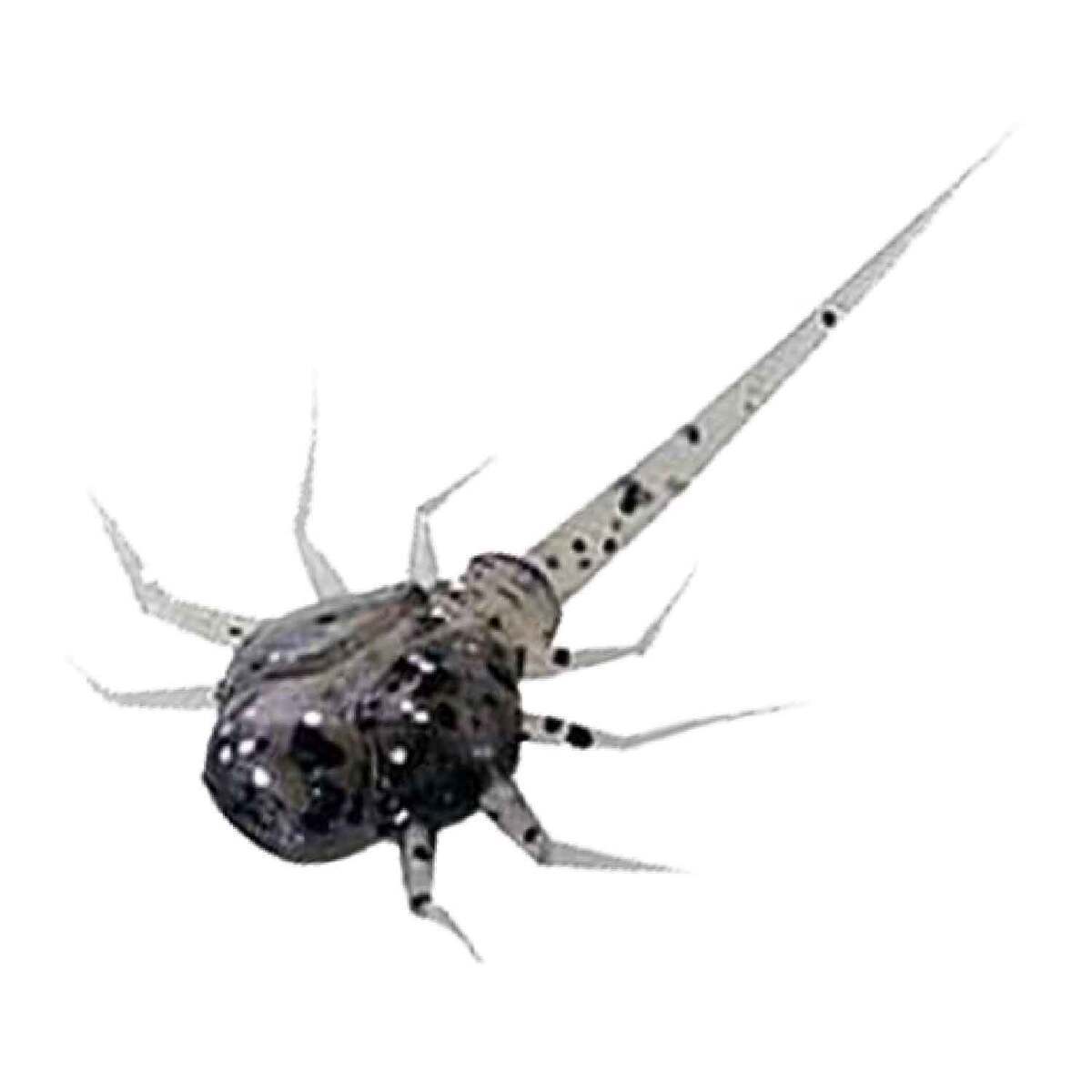 13 Fishing Coconut Crab Creature Bait 13 Fishing Coconut Crab Creature Bait