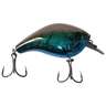 13 Fishing Scamp Square Bill Shallow Diving Crankbait
