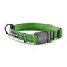 Orvis Tough Trail Reflective Dog Traditional Collar - Small, Green - Green Small