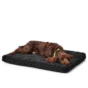 Orvis Memory Foam Platform Dog Bed - 28in X 18in - Small