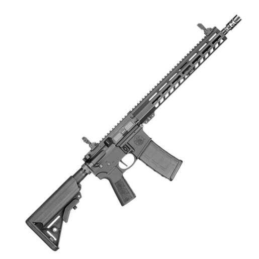 Smith & Wesson Volunteer XV Pro 5.56mm NATO 16in Black Modern Sporting Rifle - 30+1 Rounds - Black image