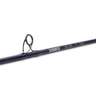 Temple Fork Outfitters Seahunter Saltwater Casting Rod