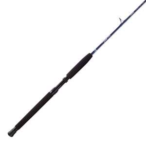 Temple Fork Outfitters SeaHunter Spinning Rod