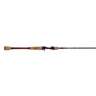 Temple Fork Outfitters Professional Casting Rod