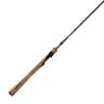 Temple Fork Outfitters Professional Spinning Rod