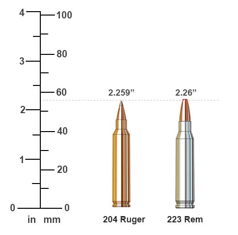 204 Ruger vs 223 Remington