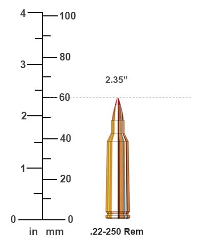 .22-250 Remington Bullet