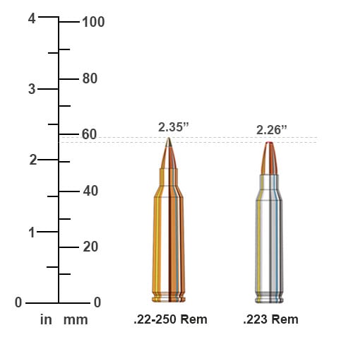 22-250 vs 223 Cartridge