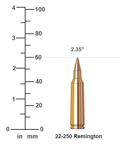 22-250 Remington size