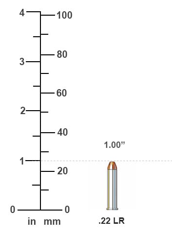 What is the minimum sized round that a long arm must fire before