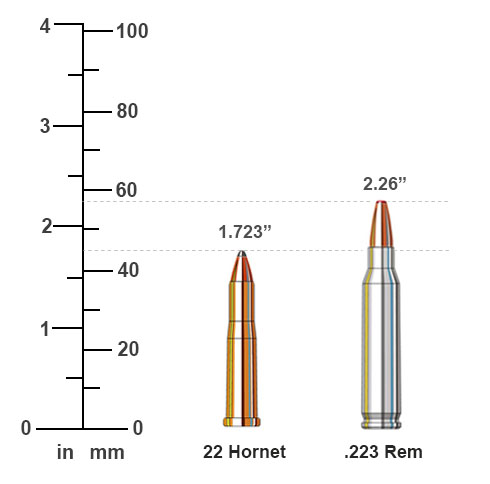 22 Hornet vs 223 Rem Ballistics Comparison | Sportsman's Warehouse