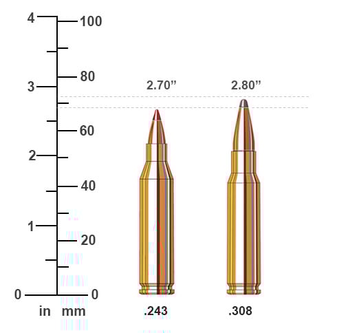 243 vs .308 Cartridge Ballistics Performance Comparison