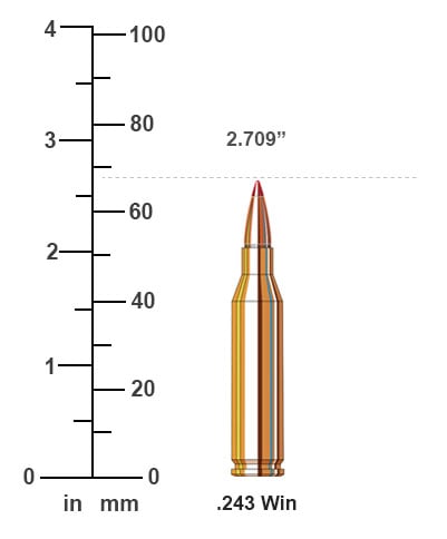 .243 Winchester Bullet