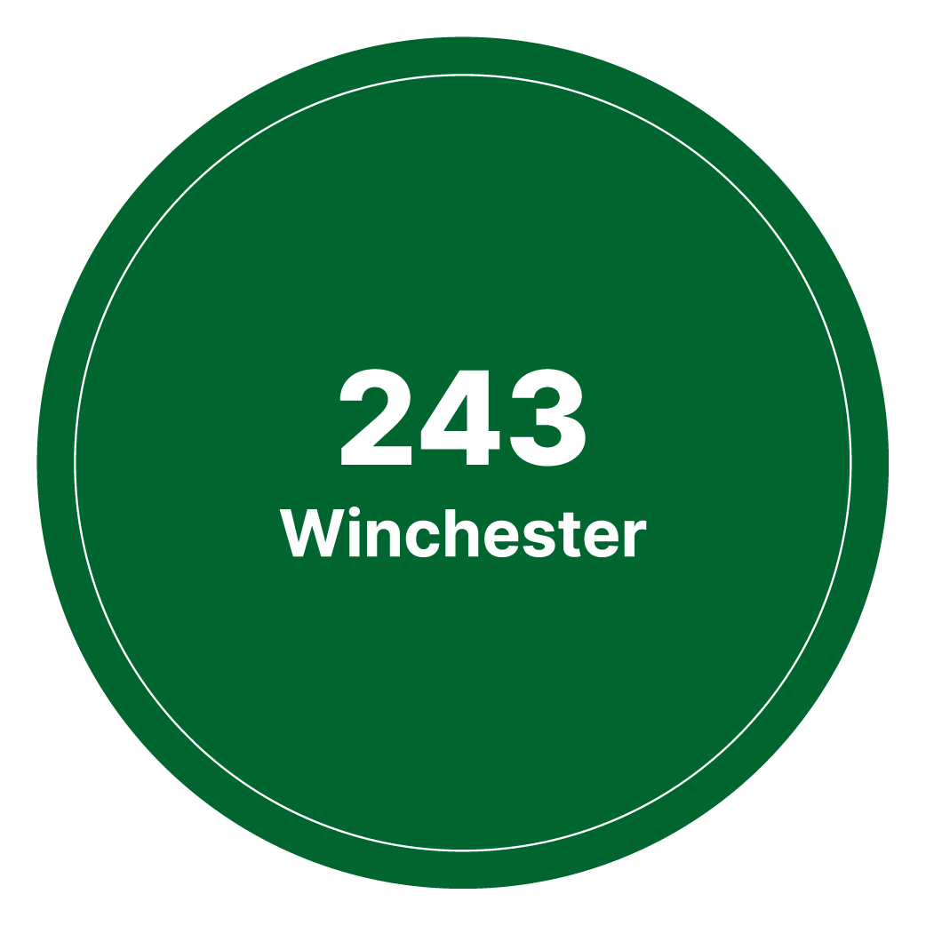 243 Winchester