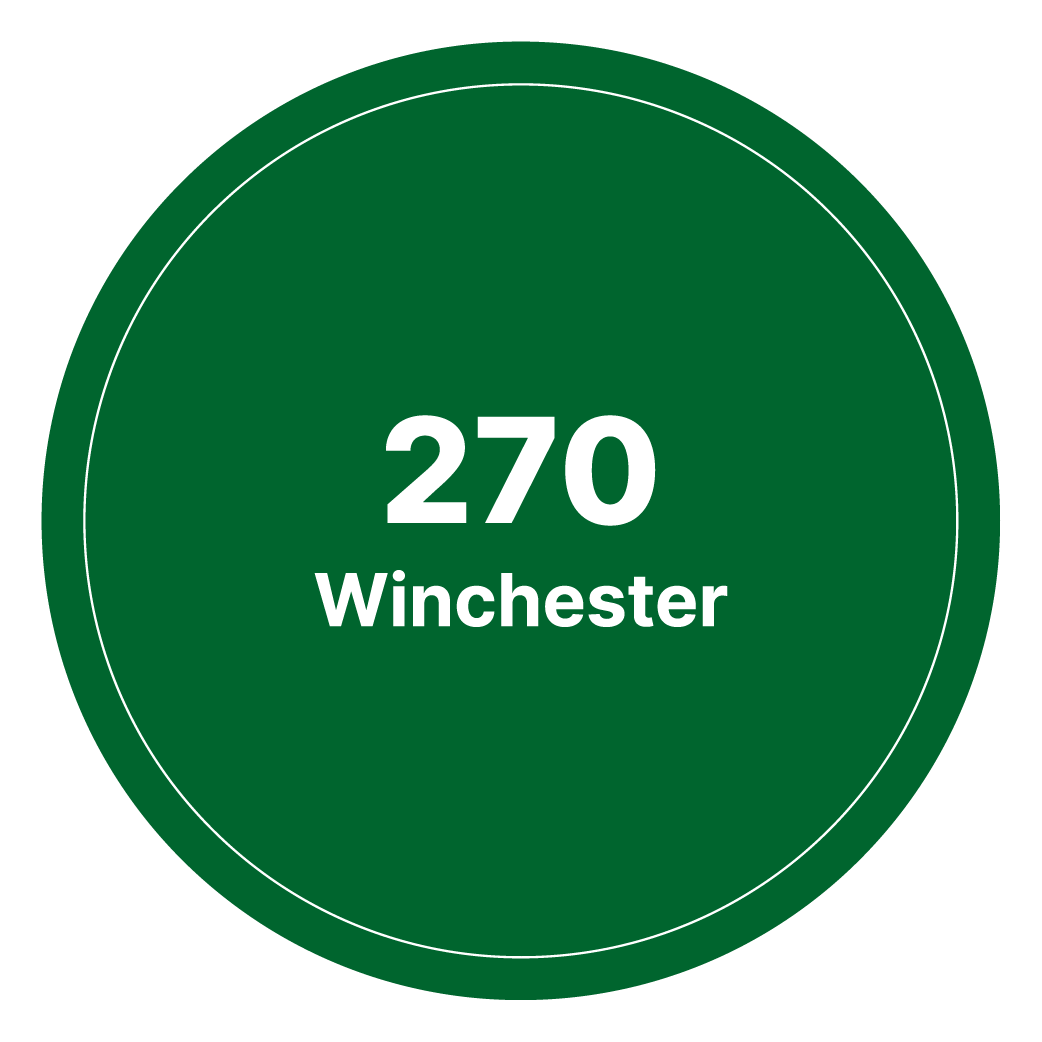 270 Winchester