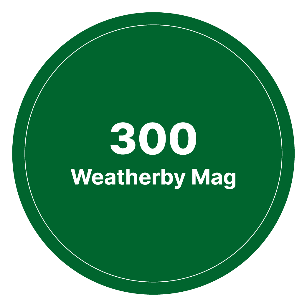 300 Weatherby Mag