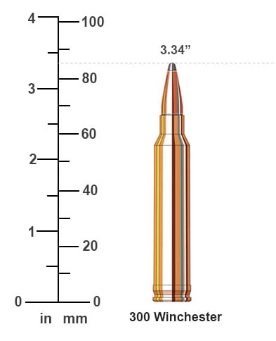 300 Winchester bullet
