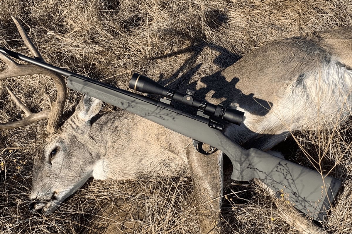 308 Rifle and downed deer
