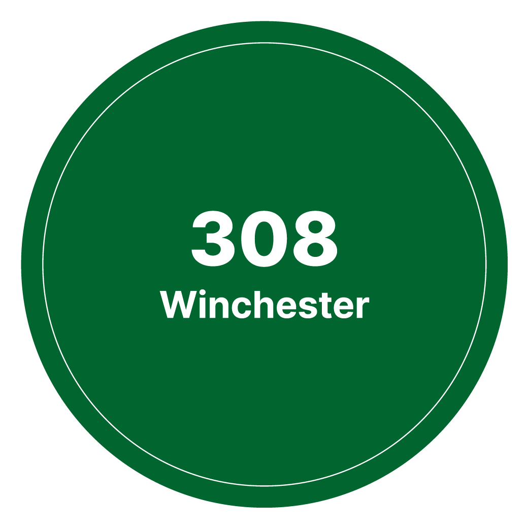 308 Winchester