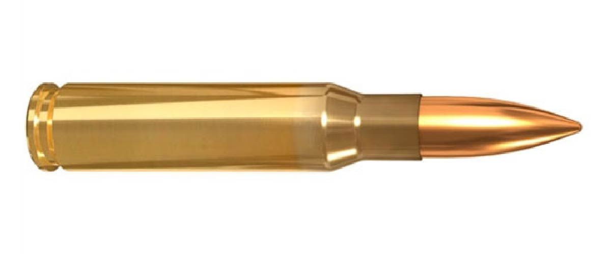 .308 winchester cartridge