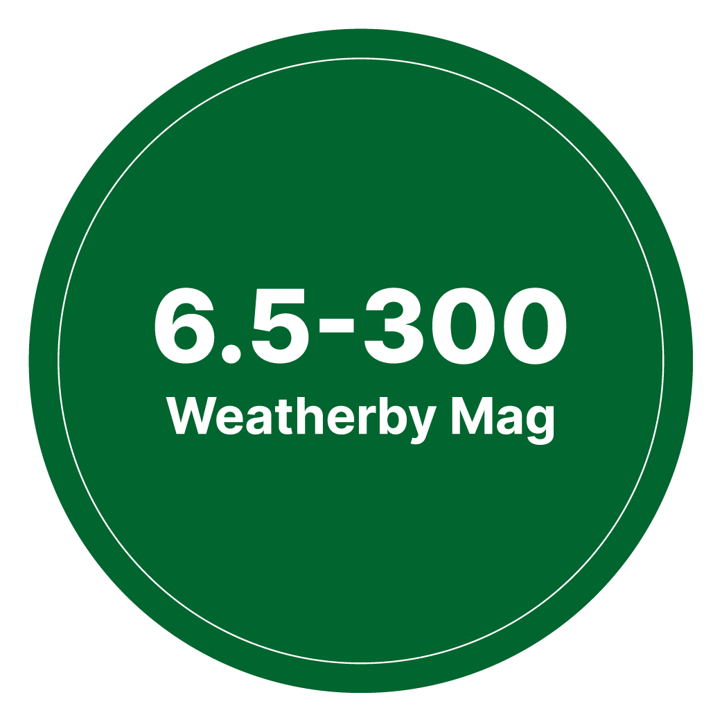 6.5-300 Weatherby Mag