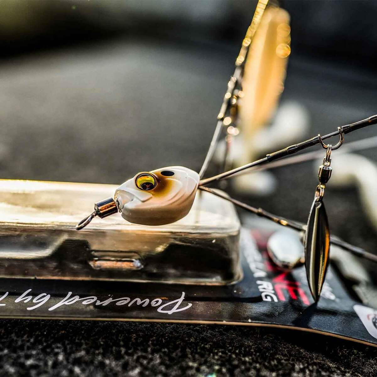 6th Sense Rigs 6th Sense Divine Umbrella Rig - Spanish Pearl, 6.5in | Sportsman's ...