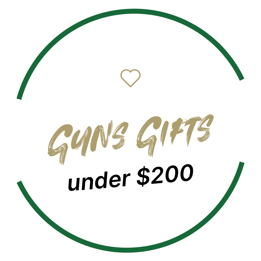 Guns Under $200