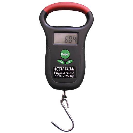 Accu-Cull Digital 55lb Fishing Scale - Black 55lb - Accu-Cull