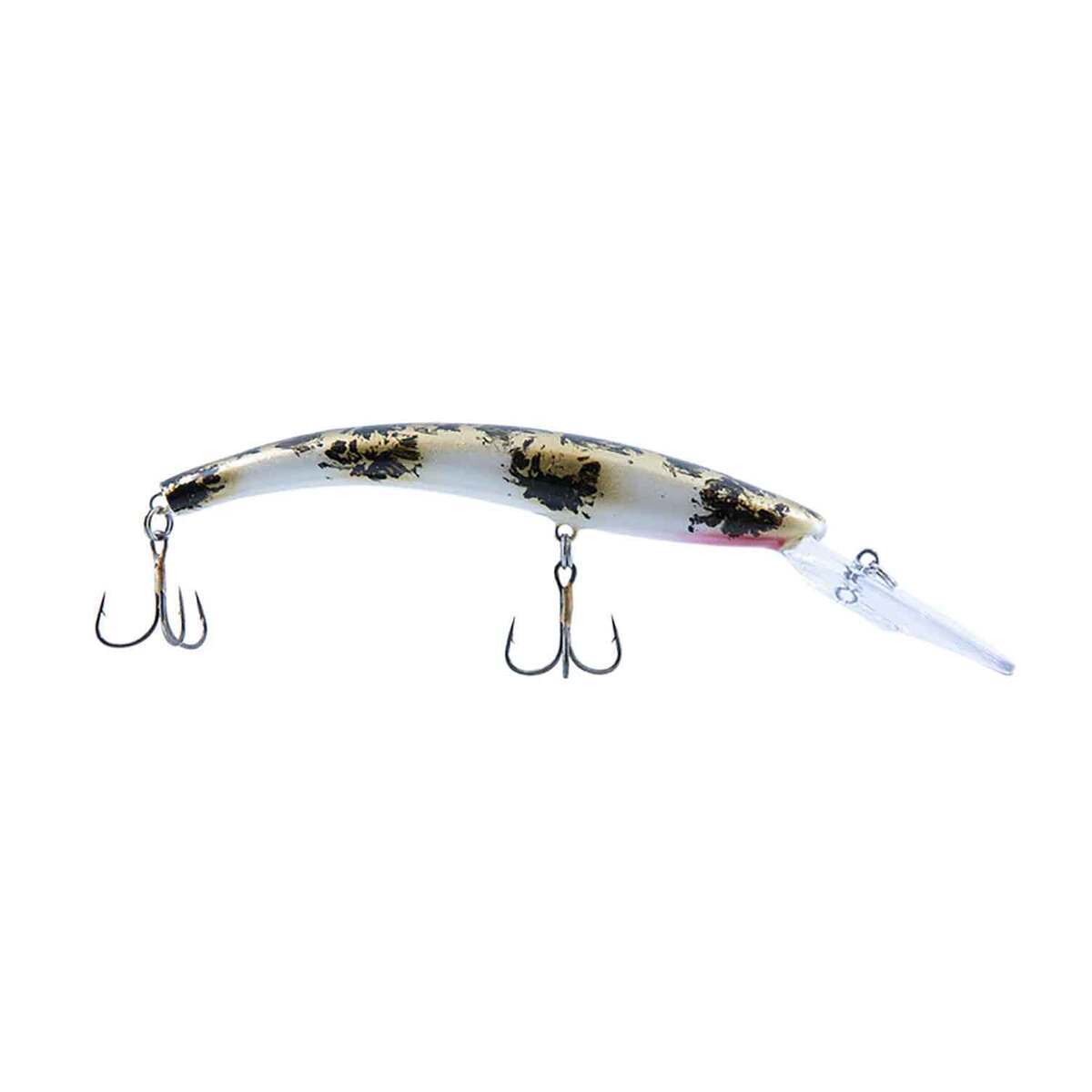 Acme 800 Series Reef Runner Deep Diver Minnow Bait Acme 800 Series Reef Runner Deep Diver Minnow Bait
