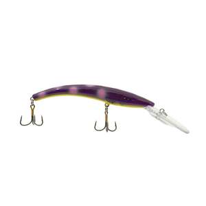 Acme 800 Series Reef Runner Deep Diver Minnow Bait - Blueberry Muffin, 5/8oz, 6-3/16in, 28ft