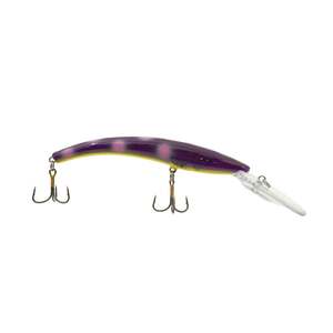 Acme 800 Series Reef Runner Deep Diver Minnow Bait - Blueberry Muffin ...