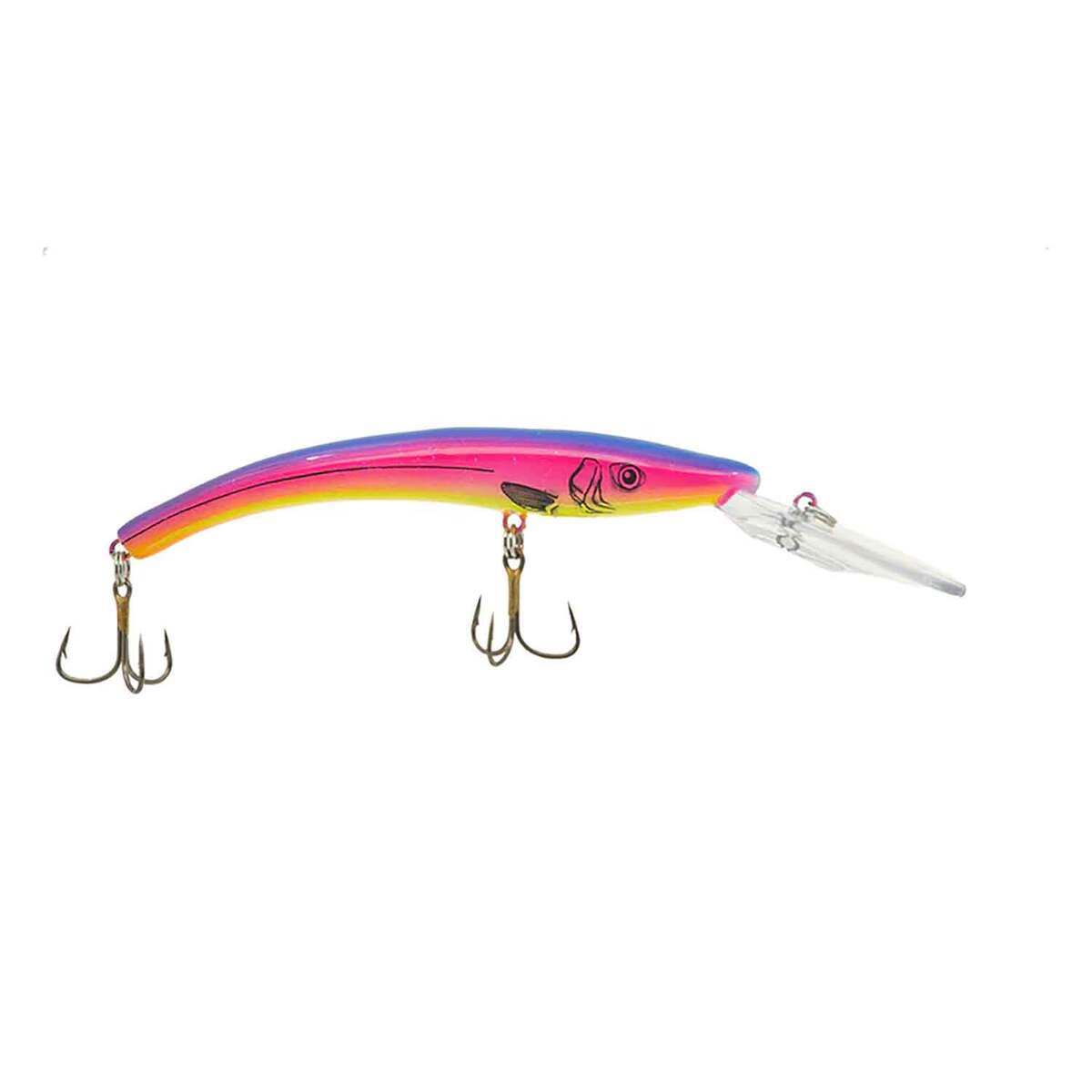 Acme 800 Series Reef Runner Deep Diver Minnow Bait Acme 800 Series Reef Runner Deep Diver Minnow Bait