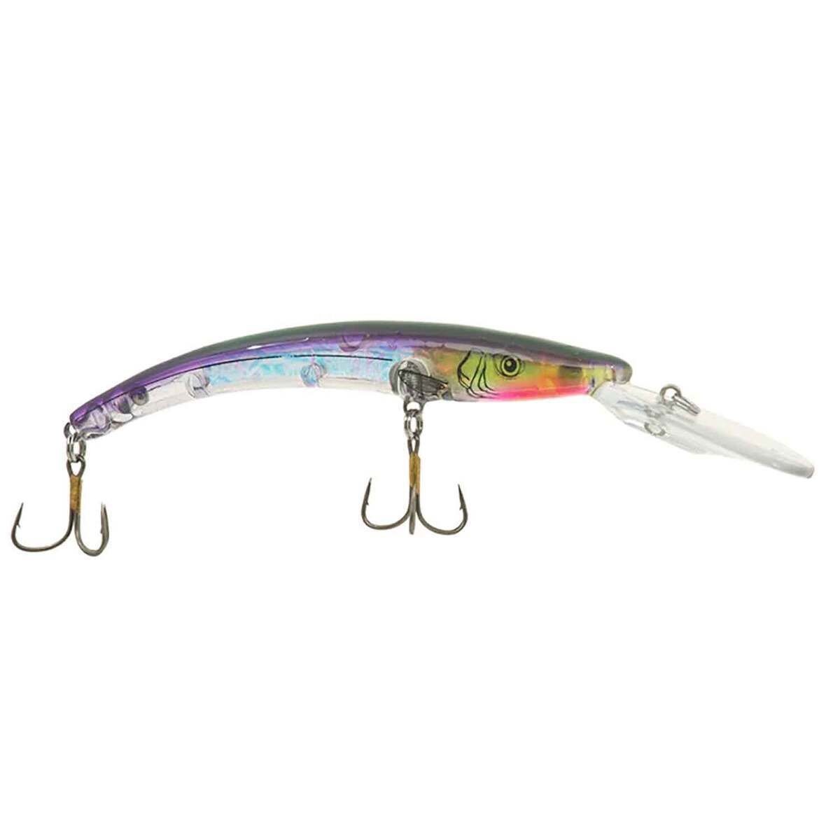 Acme 800 Series Reef Runner Deep Diver Minnow Bait Acme 800 Series Reef Runner Deep Diver Minnow Bait