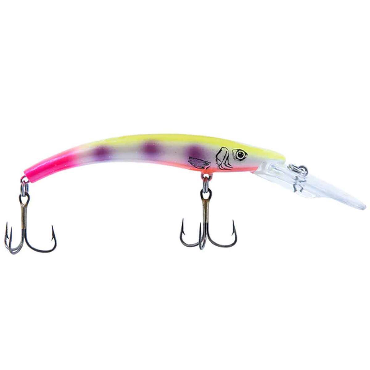 Acme 600 Series Reef Runner Deep Ripper Minnow Bait - Confetti, 1/4oz ...