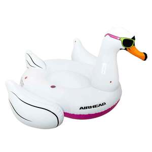 Airhead Cool Swan 1 Person Pool Float