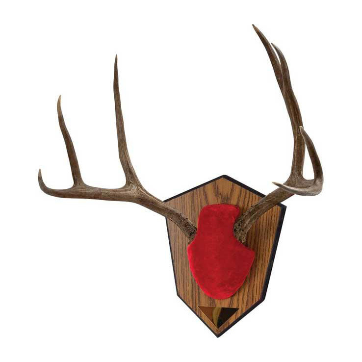 Allen Antler Mounting Kit - Red Allen Antler Mounting Kit - Red