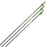 Allen RZ350 350 spine Carbon Arrows - 3 Pack - Green