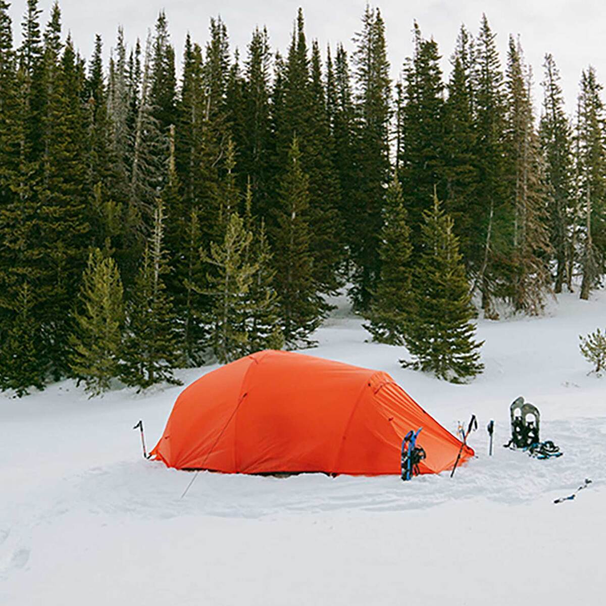 ALPS Mountaineering Tasmanian 3-Person Tent - Orange, Gray - Orange, Gray ALPS Mountaineering Tasmanian 3-Person Tent - Orange, Gray - Orange, Gray