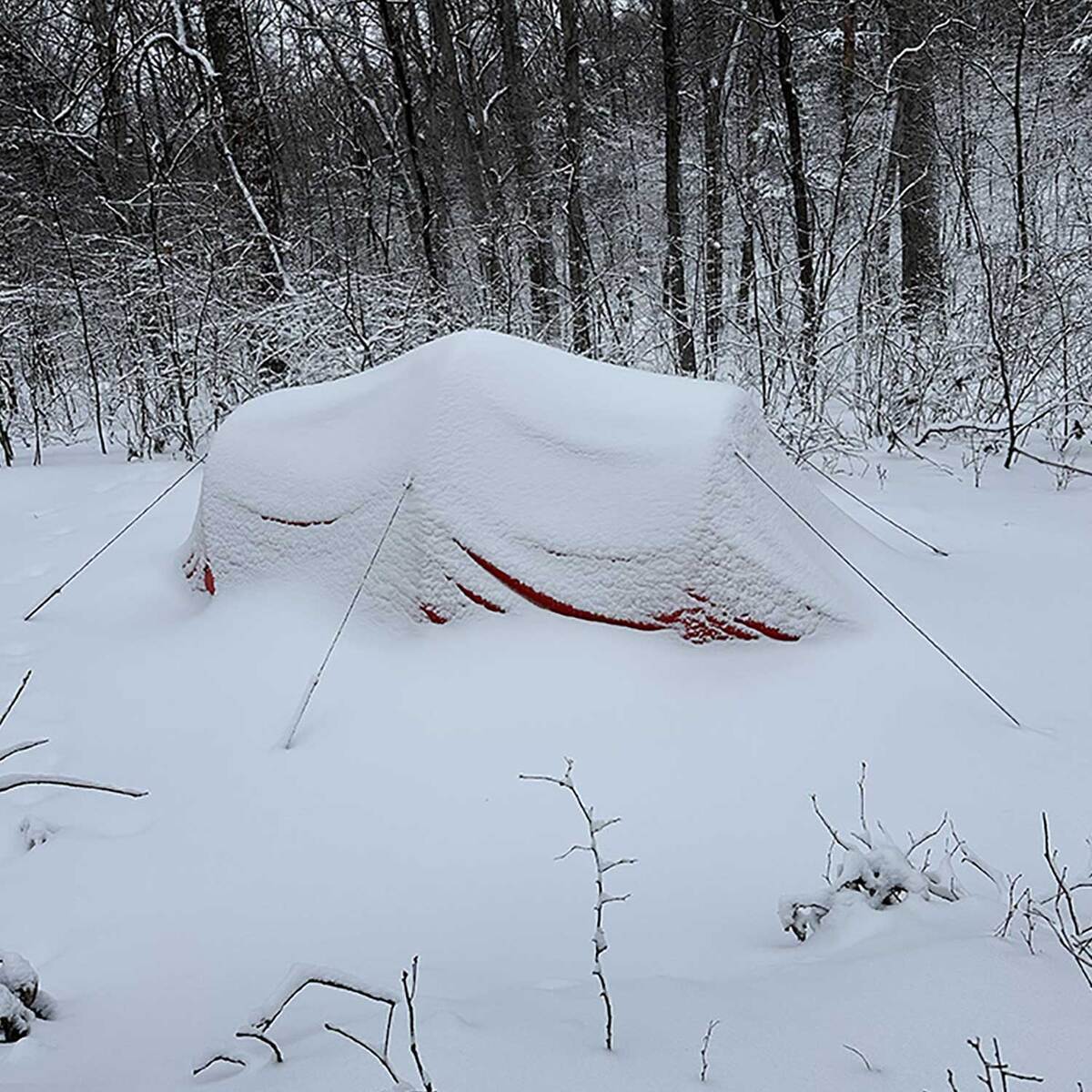 ALPS Mountaineering Tasmanian 3-Person Tent - Orange, Gray - Orange, Gray ALPS Mountaineering Tasmanian 3-Person Tent - Orange, Gray - Orange, Gray