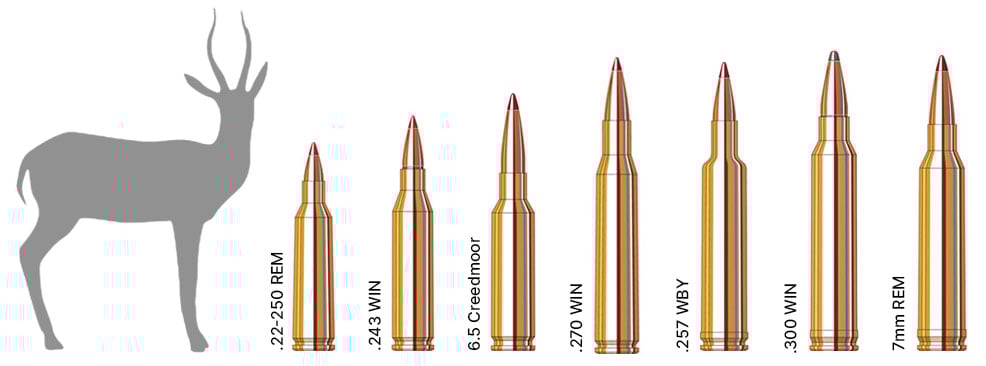 Antelope Hunting Calibers